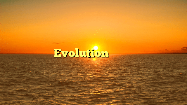 Evolution 게임 그룹 정보