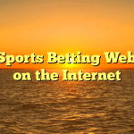 Top Sports Betting Websites on the Internet