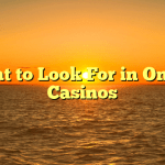 What to Look For in Online Casinos