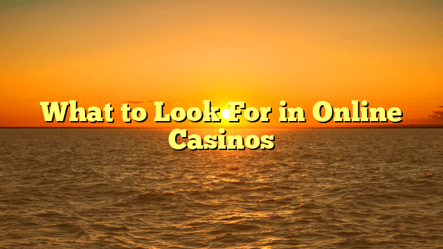 What to Look For in Online Casinos
